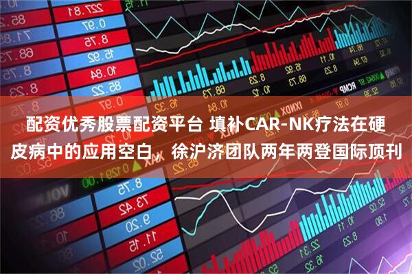 配资优秀股票配资平台 填补CAR-NK疗法在硬皮病中的应用空白，徐沪济团队两年两登国际顶刊