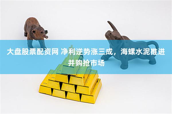 大盘股票配资网 净利逆势涨三成，海螺水泥推进并购抢市场